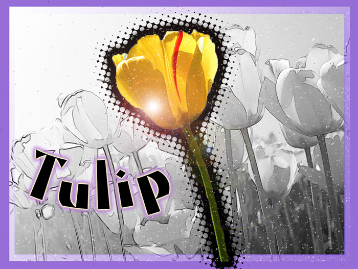 %_tempFileNameluna-alva-michelle-photoshop-project%