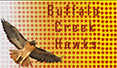 %_tempFileNamesofia-johnson-backround-design%